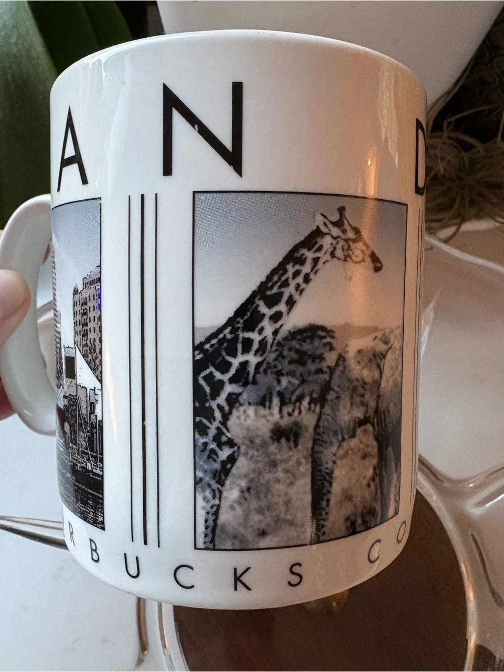 Starbucks City Scenes Series Mug 2003 San Diego CA Zoo City Balboa Coronado